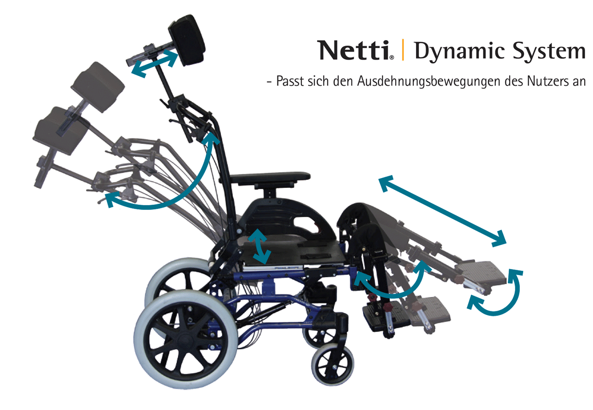Netti-Dynamic-System-Grafik