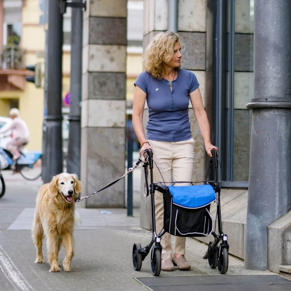 Rollator