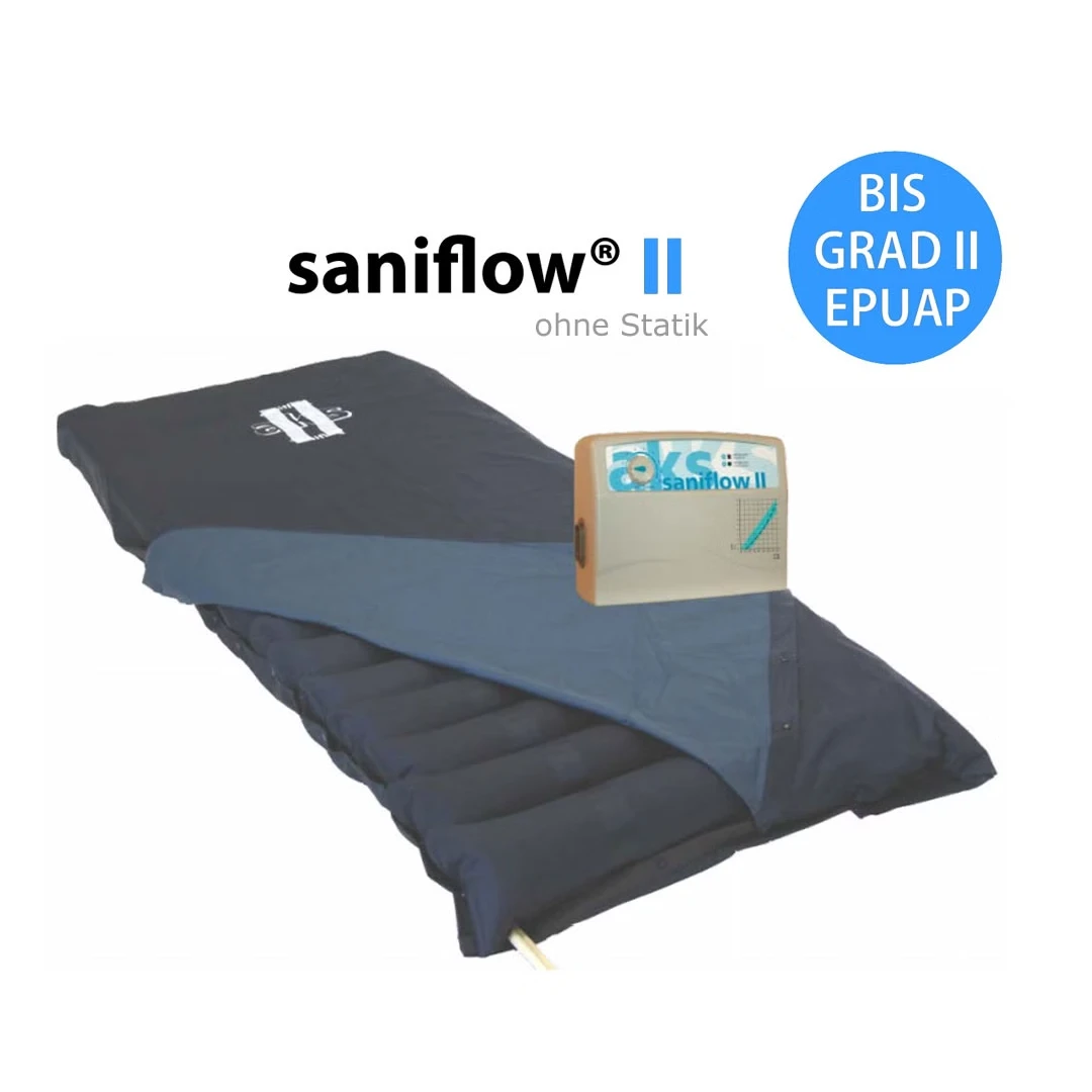 Sani2S