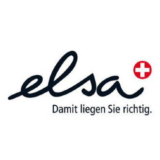 Elsa Logo 